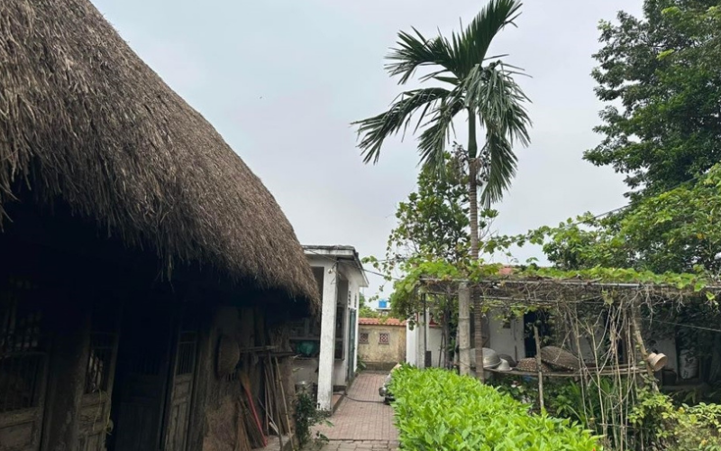 bảo t&agrave;ng đồng qu&ecirc; Nam Định