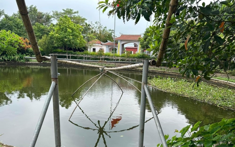 bảo t&agrave;ng đồng qu&ecirc; Nam Định