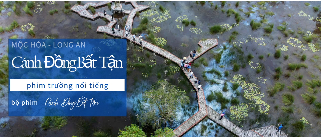 cánh đồng bất tận Mộc Hóa Long An kinh nghiệm du lịch từ A đến Z