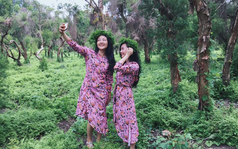 c&aacute;nh đồng bất tận