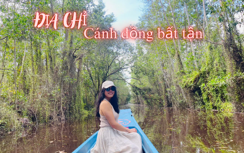 c&aacute;nh đồng bất tận