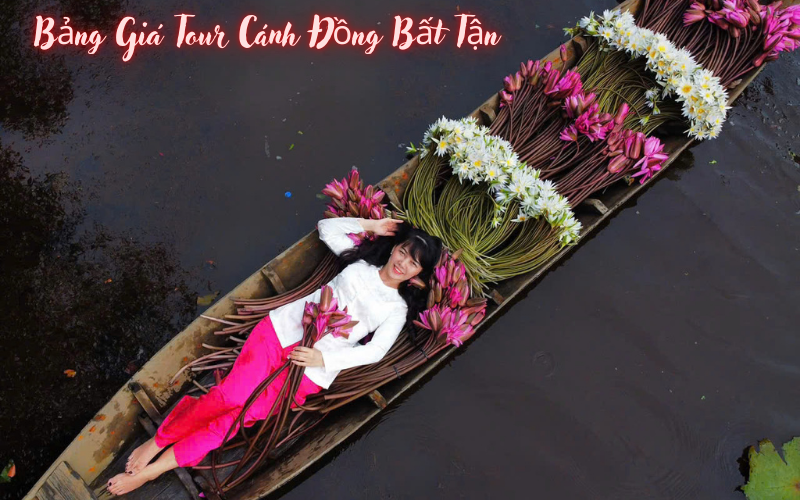 c&aacute;nh đồng bất tận