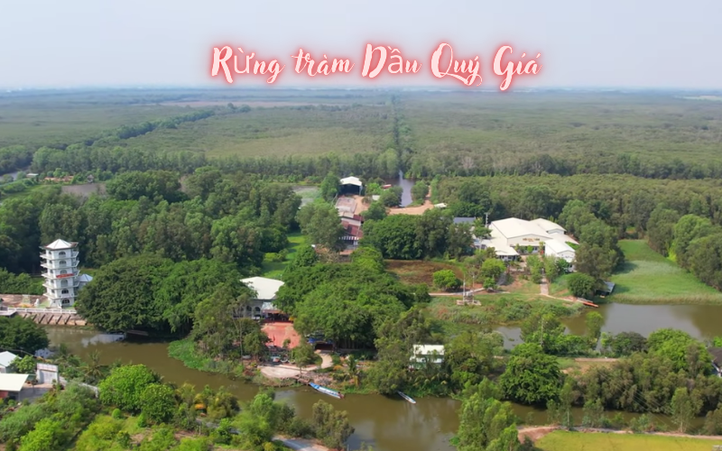 c&aacute;nh đồng bất tận