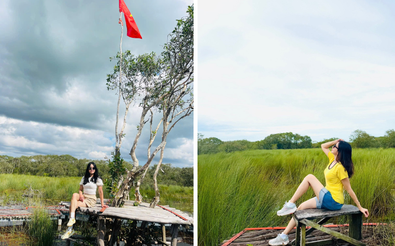 c&aacute;nh đồng bất tận