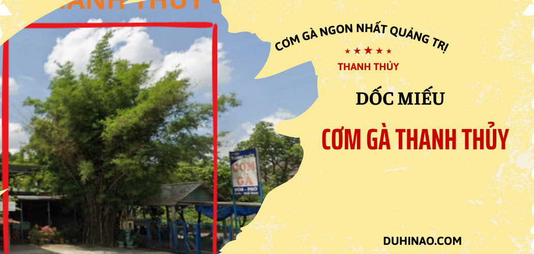 cơm gà Dốc Miếu- quán cơm gà ngon nhất quảng trị ít người biết