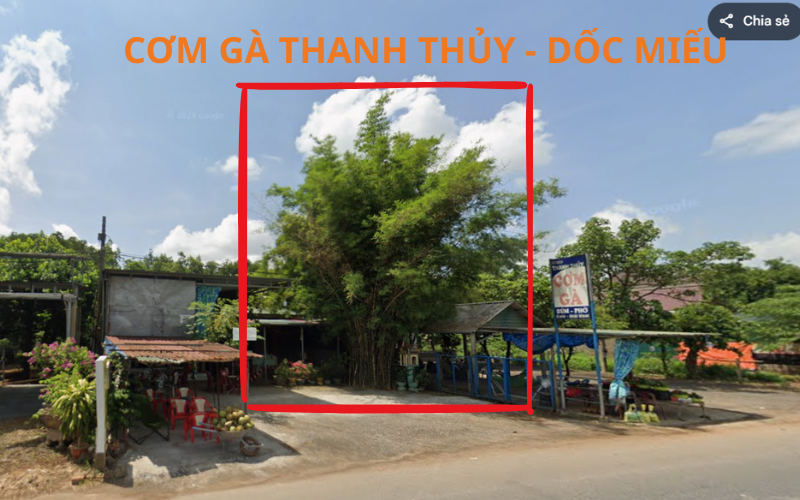 cơm g&agrave; Dốc Miếu