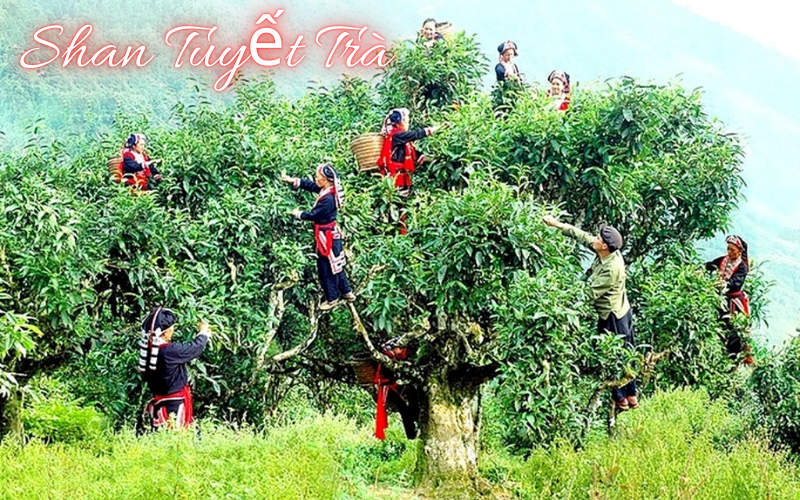 đặc sản Bắc Kạn