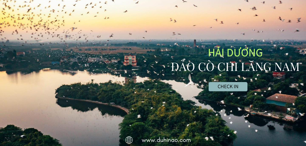 Chạm tay vào thiên nhiên tại đảo cò Chi Lăng Nam Hải Dương