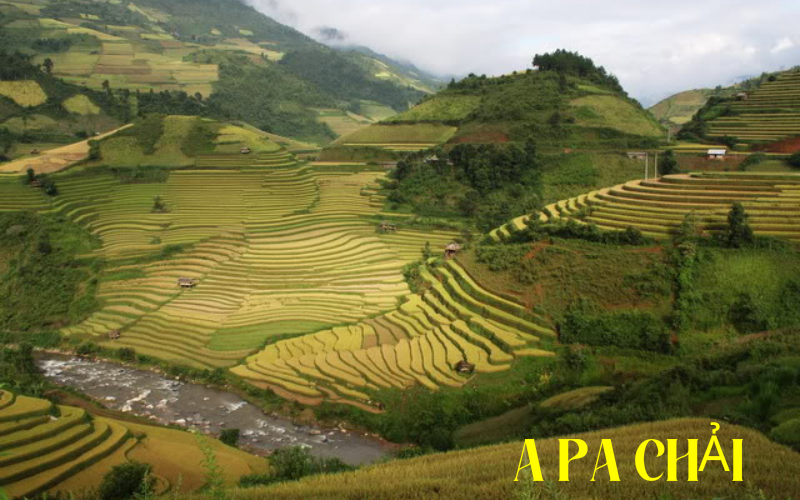 check in Điện Biên