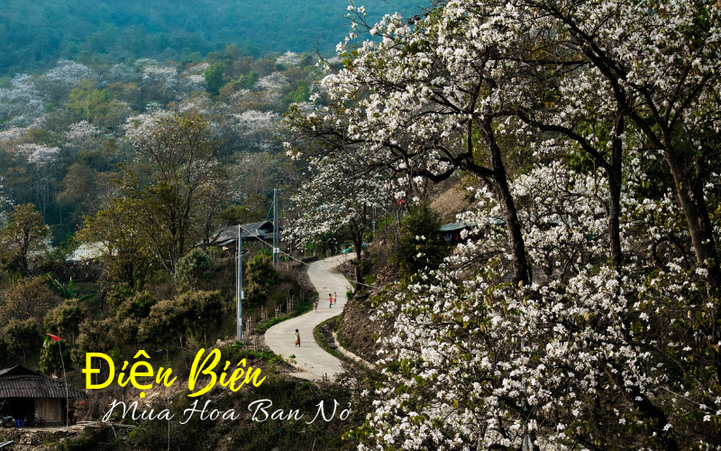 check in Điện Biên
