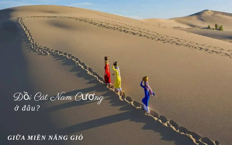 đồi c&aacute;t Nam Cương