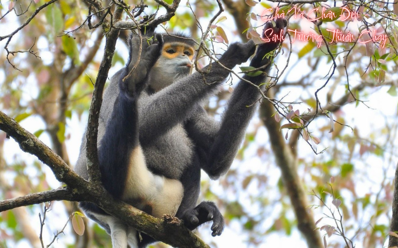 B&igrave;nh Phước