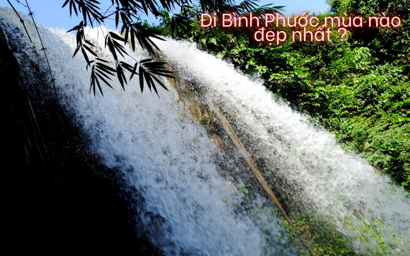 B&igrave;nh Phước