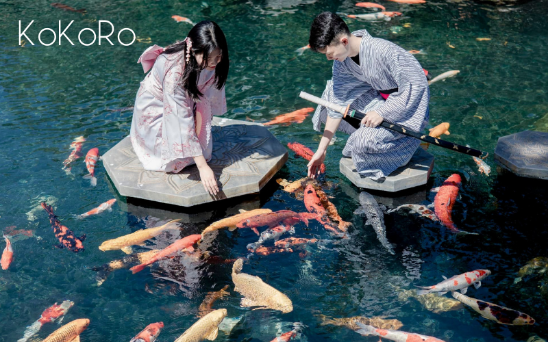 Khu du lịch Lá Phong, Kokoro Coffe, neko Town