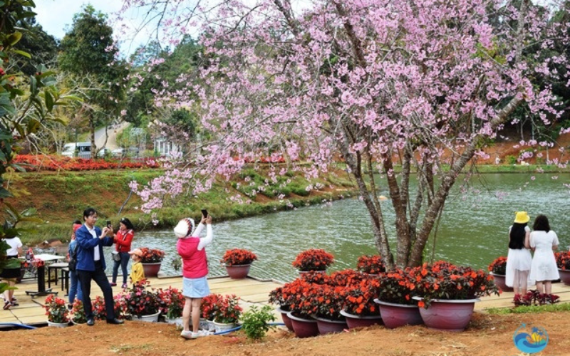 Măng Đen Kon Tum