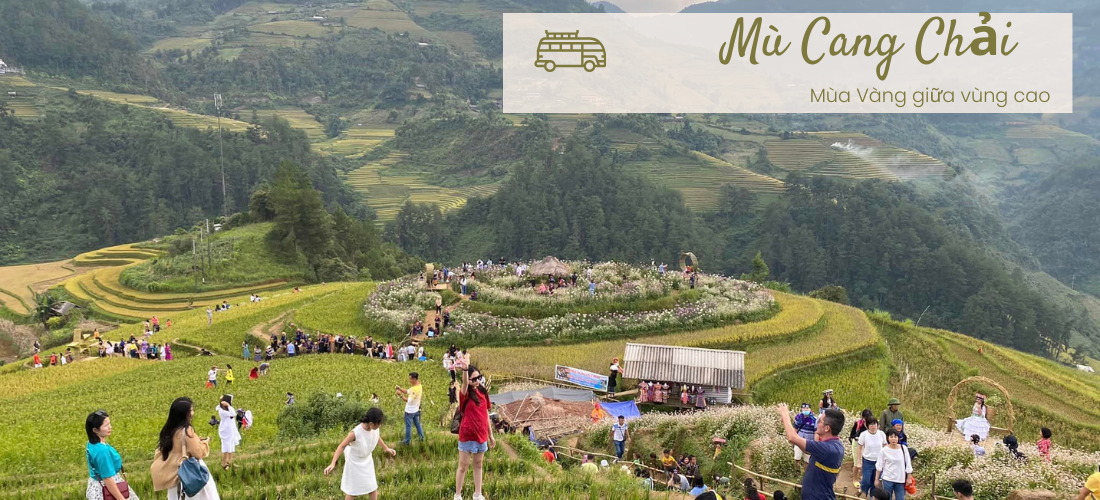 Kinh nghiệm Check in Mù Cang Chải từ A đến Z