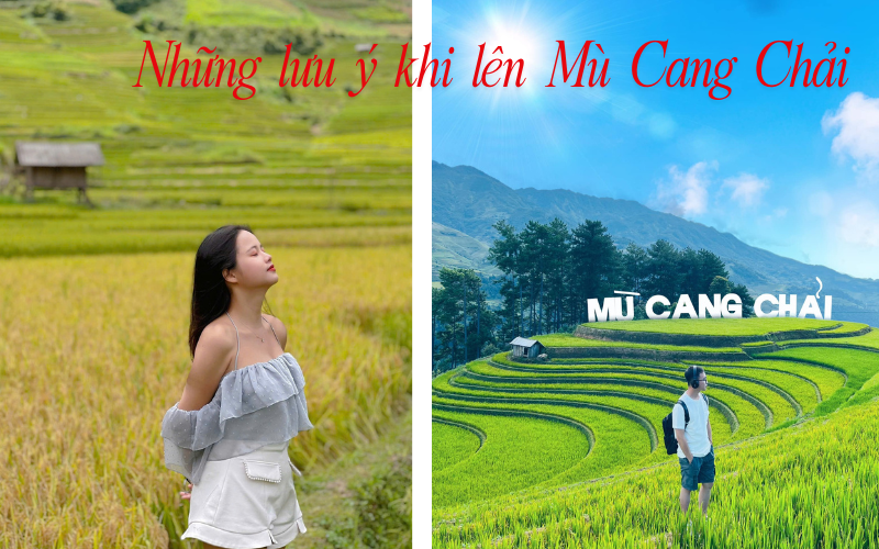 mù cang chải