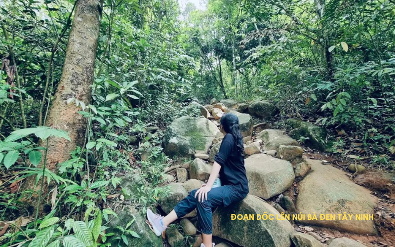 Ch&ugrave;a B&agrave; Đen T&acirc;y Ninh