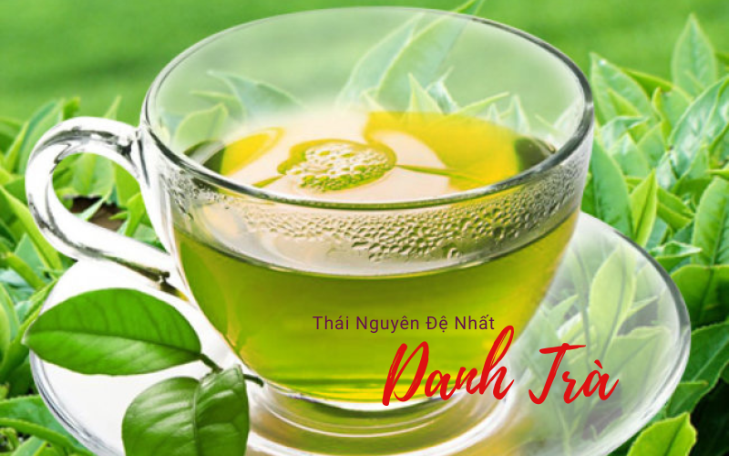 Trà Thái Nguyên