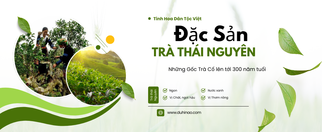 Trà Thái Nguyên Đệ Nhât Danh Trà Việt món quà vô giá