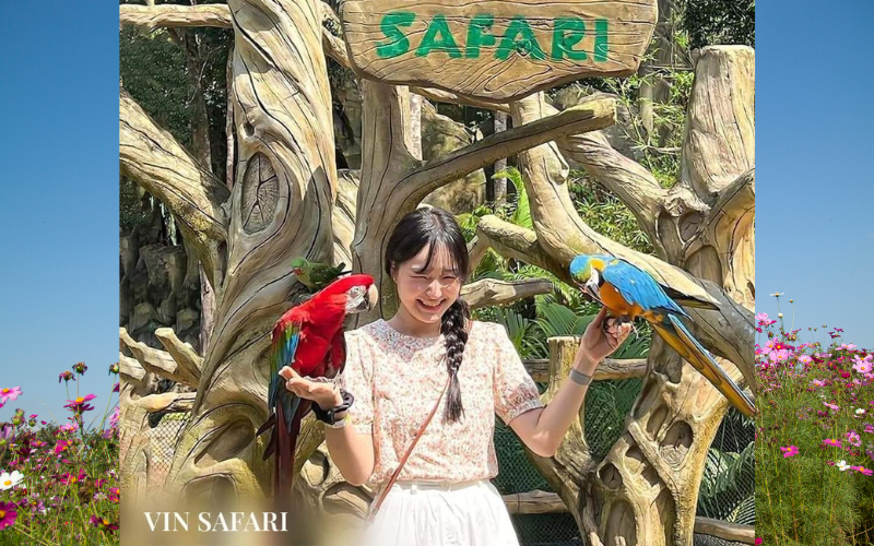 Vinpearl Nam Hội An