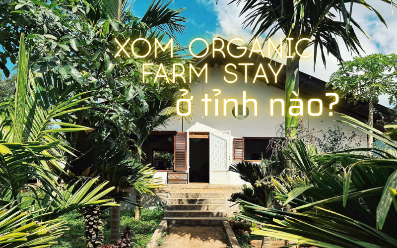 XOM FARM