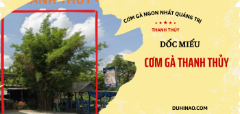 cơm gà Dốc Miếu- quán cơm gà ngon nhất quảng trị ít người biết