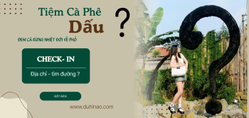 Tiệm cà phê Dấu Hỏi Huế – Đưa cả khu rừng nhiệt đới về phố