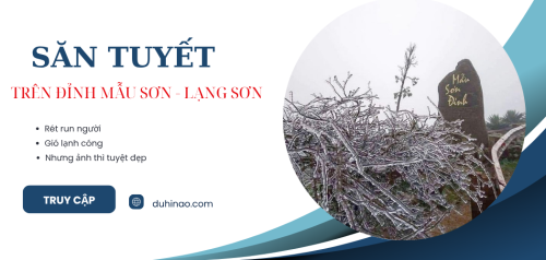 Đỉnh Mẫu Sơn xuất hiện tuyết rơi thu hút hàng nghìn khách du lịch