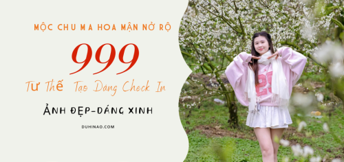 Hướng dẫn tất tần tật check in Mộc Châu mùa hoa mận nở rộ