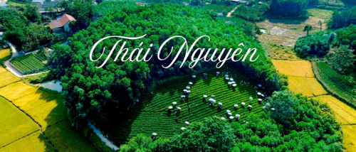 Top 10 điểm chek in hot nhất Thái Nguyên